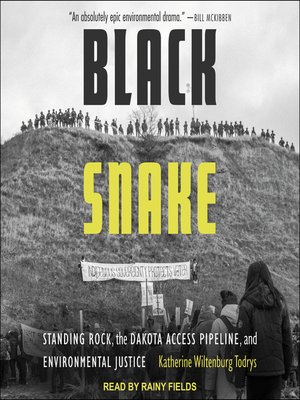 cover image of Black Snake
